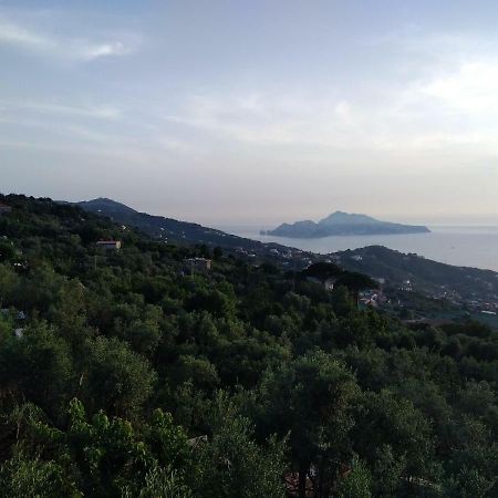 شقة La Vista Sul Golfo ماسّا لوبْرينسِ المظهر الخارجي الصورة